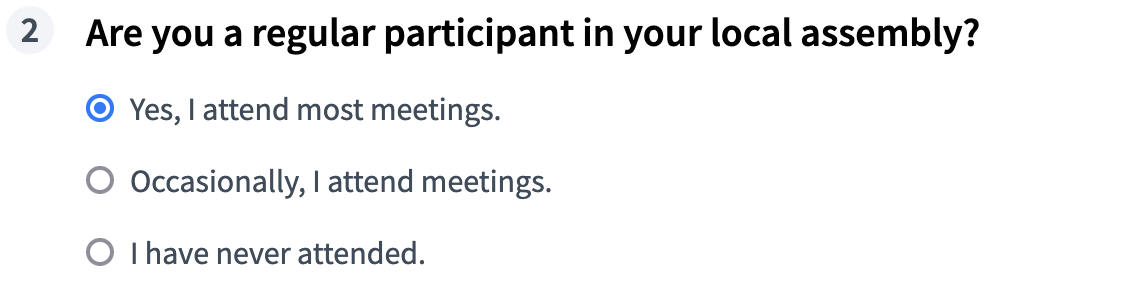 Single option type - frontend